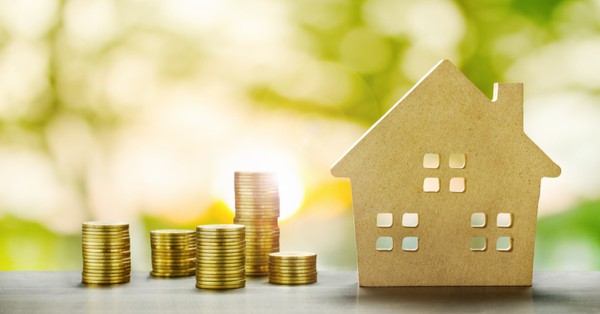 wooden house and coins